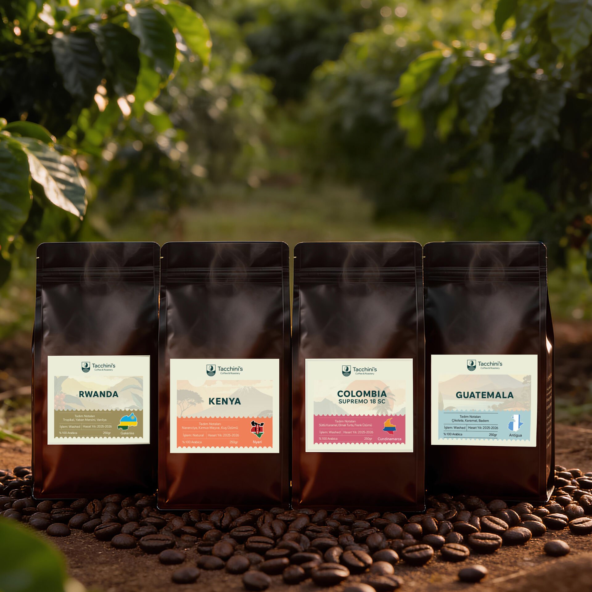 Dünya Kahveleri Seti 4'lü Çekirdek&Filtre Kahve %100 Arabica